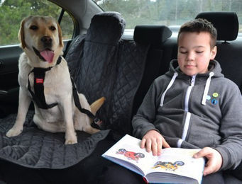 Tierlando ® Autoschondecke REX teilbar Reißverschluss Schutzdecke – Bild 1 von 8