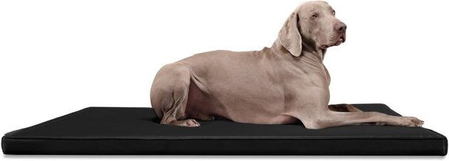 Produktbild von tierlando® CARLOS Ortho-Medic Orthopädische Hundematte Kunstleder Visco