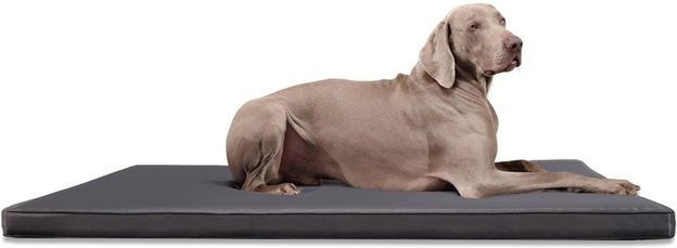 Produktbild von tierlando® Carlos Ortho-Medic Orthopädische Hundematte Kunstleder Visko