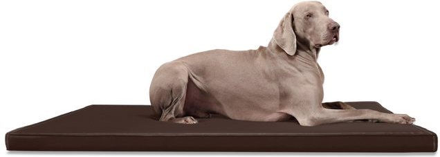 Produktbild von tierlando® Carlos Ortho-Medic Orthopädische Hundematte Kunstleder Visko