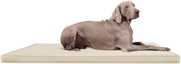 Produktbild von tierlando® CARLOS Ortho-Medic Orthopädische Hundematte Kunstleder Visko