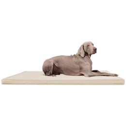 Produktbild von tierlando® Carlos Ortho-Medic Orthopädische Hundematte Kunstleder Visko Hundebett XL 120x90 cm creme