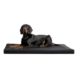 Produktbild von tierlando® Carlos Ortho-Medic Orthopädische Hundematte Velours-Kunstleder VISCO Hundebett XXL 150x100 cm schwarz