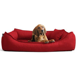tierlando Donald Ortho Hundebett Anti Haar - 120 cm – Bild 1 von 4