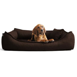 tierlando Donald Ortho Hundebett Anti Haar – Bild 1 von 4