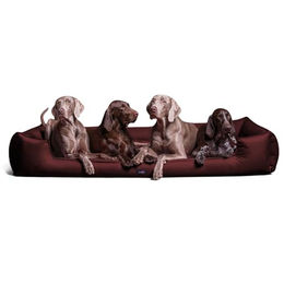Tierlando GOOFY - Orthopädisches Hundebett aus Polyester inkl. Matratzenschoner bordeaux 1,6 m, 25 cm, 1,1 m – Bild 1 von 8