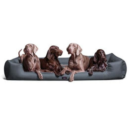 Produktbild von Tierlando GOOFY - Orthopädisches Hundebett aus Polyester inkl. Matratzenschoner grau/ grau 1,6 m, 25 cm, 1,1 m