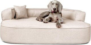 Produktbild von Tierlando LOTTE VISCO PLUS - Orthopädisches Hundesofa creme 1,2 m, 30 cm, 90 cm