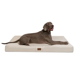 Produktbild von tierlando® Mobile Hundematratze Hugo Basic