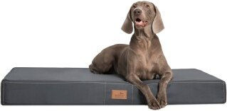 Produktbild von tierlando® Mobile Hundematratze Hugo Basic XL