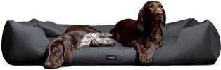 Tierlando MORITZ KOMFORT Hundebett Hundesofa M - XXXL 90 110 130 160 185 cm schwarz/ graphit 1,3 m, 25 cm, 1 m – Bild 1 von 3