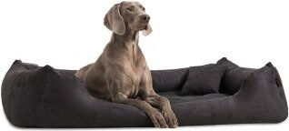 Produktbild von Tierlando MORITZ VIP Hundebett Hundesofa schwarz 1,1 m, 25 cm, 90 cm