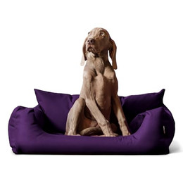 Produktbild von tierlando NEMO Hundebett Hundesofa Hundekorb