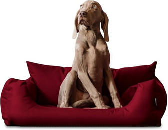 Produktbild von tierlando NEMO Hundebett Hundesofa Hundekorb