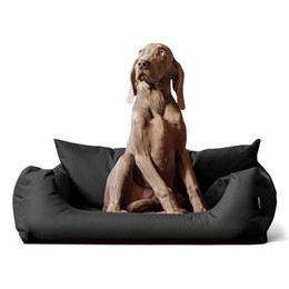 Produktbild von tierlando NEMO Hundebett Hundesofa Hundekorb Katzenbett Größe M Graphit