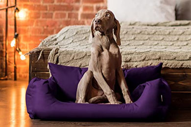 Produktbild von tierlando NEMO Hundebett Hundesofa Hundekorb Katzenbett Größe N3 100cm Lila - 100 cm