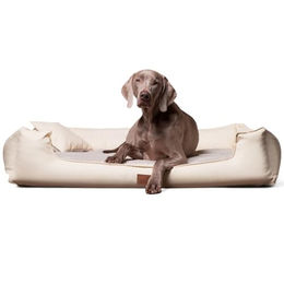 Tierlando ® Nonplusultra LINUS orthopädisches Hundebett Visco PLUS Kunstleder creme 1,1 m, 25 cm, 90 cm – Bild 1 von 8