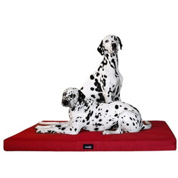 Produktbild von tierlando® Orthopädische Hundematratze Alice VISCO