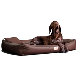 Produktbild von tierlando Orthopädische Hundematratze CLIFFORD Latex Kunstleder
