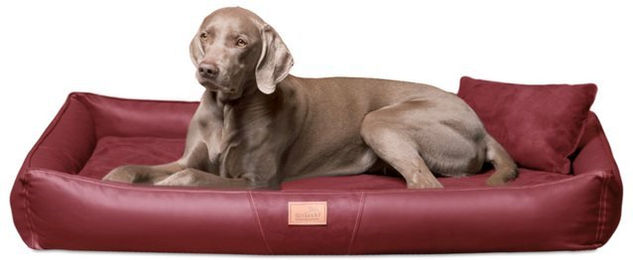 Produktbild von tierlando® Orthopädische Hundematratze CLIFFORD LATEX SOFT