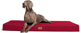 tierlando Orthopädische Hundematratze Hugo Ortho Plus – Bild 1 von 3