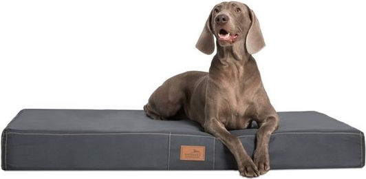Produktbild von tierlando® Orthopädische Hundematratze HUGO Ortho Plus