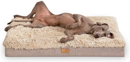 Produktbild von tierlando® Orthopädische Hundematratze Pablo Shaggy Ortho Plus