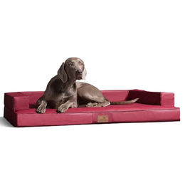 tierlando Orthopädisches Design Hundesofa Gibson VISCO Kunstleder kubische Form – Bild 1 von 6