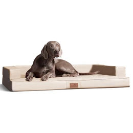 Tierlando ® Orthopädisches Design Hundesofa GIBSON VISCO Kunstleder kubische Form creme 1,2 m, 22 cm, 90 cm – Bild 1 von 6