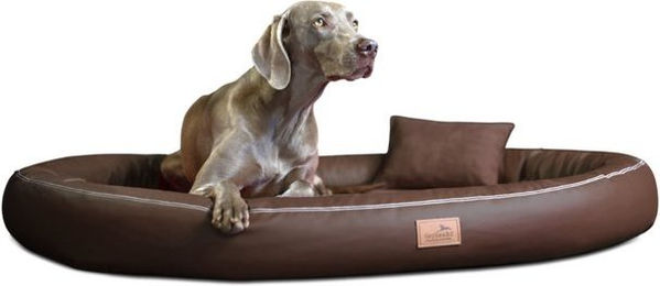Produktbild von tierlando® Orthopädisches Hundebett Gilbert Ortho Soft Latex Velours Kunstleder