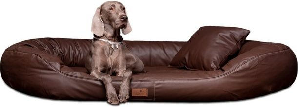 Produktbild von tierlando Orthopädisches Hundebett LENNART VISCO PLUS Kunstleder