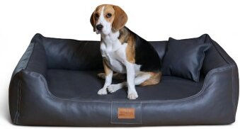 Produktbild von Tierlando ® Orthopädisches Hundebett Maddox Kunstleder Hundesofa Mittelgroß Große Hunde Hundesofa XL XXL schwarz/ graphit 1,2 m, 25 cm, 85 cm