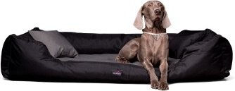 tierlando Orthopädisches Hundebett Nestor Starkes Oxford 2000D Duo Schwarz – Bild 1 von 3