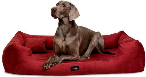 Produktbild von tierlando® Orthopädisches Hundebett Pluto Soft Visco Velours