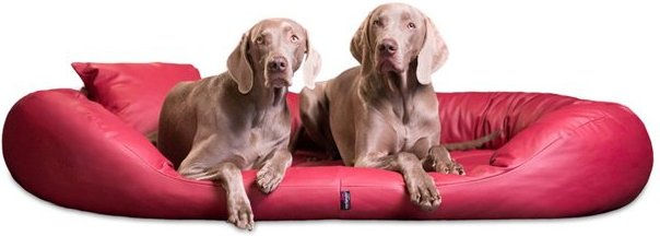 Produktbild von tierlando® Orthopädisches Hundebett SAMMY aus Kunstleder