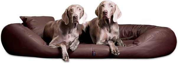 Produktbild von tierlando® Orthopädisches Hundebett SAMMY EASY CLEAN