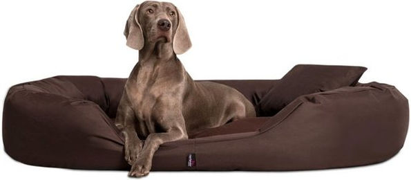 Produktbild von tierlando® Orthopädisches Hundebett Sammy