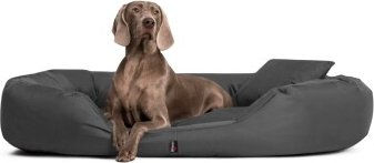 Produktbild von Tierlando ® Orthopädisches Hundebett SAMMY | Robuster Polyester | Dicke Umrandung schwarz/ graphit 1,7 m, 35 cm, 1,1 m