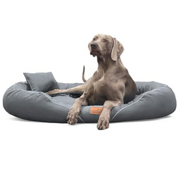 Produktbild von tierlando Orthopädisches Hundebett Tiffany Couture für große Hunde