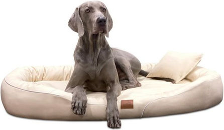 Produktbild von tierlando® Orthopädisches Hundebett Tiffany Easy-Clean für Große Hunde