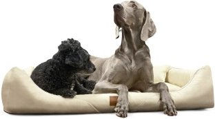 Tierlando ® Orthopädisches Hundebett WILLIAM Easy-Clean | Luxus Hundesofa creme 1,3 m, 22 cm, 1 m – Bild 1 von 3