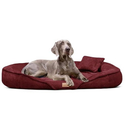 Produktbild von tierlando® Orthopädisches Hundebett XENIA Kuscheliges Hundesofa