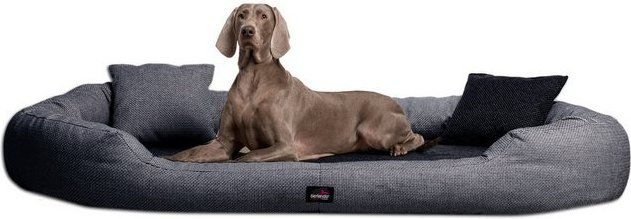Produktbild von tierlando® Orthopädisches Hundesofa BALOU mit Visco Plus Matratze