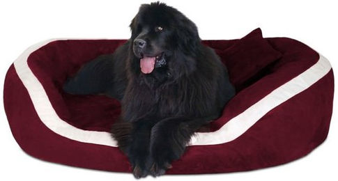 Produktbild von tierlando® Pepper Orthopädisches Hundebett Hundesofa Velours