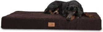 Produktbild von Tierlando STUART ORTHO PLUS Orthopädische Hundematte braun