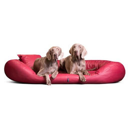 tierlando® Tierbett SAMMY EASY CLEAN Orthopädisches – Bild 1 von 5