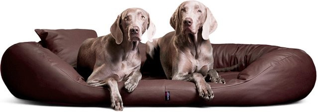 Produktbild von tierlando® Tierbett SAMMY EASY CLEAN Orthopädisches