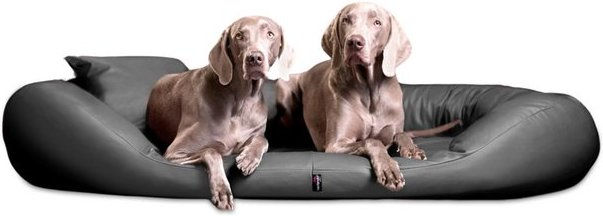 Produktbild von tierlando® Tierbett SAMMY EASY CLEAN Orthopädisches Hundebett