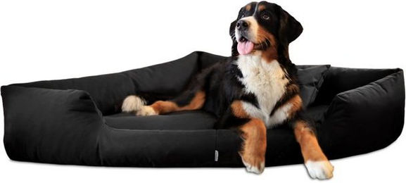 Produktbild von tierlando® Tierbett TRIVIA Orthopädisches Eckhundebett Polyester