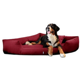 Tierlando ® TRIVIA | Orthopädisches Eckhundebett Polyester Hundebett Dreieckbett dunkelrot 1,2 m, 25 cm, 1,2 m – Bild 1 von 8